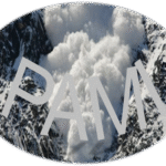 PAMI BOLA DE NIEVE